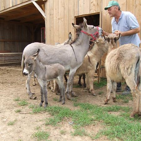 Tourist Farm Ob Izviru Krupe Villa Semic Luaran gambar